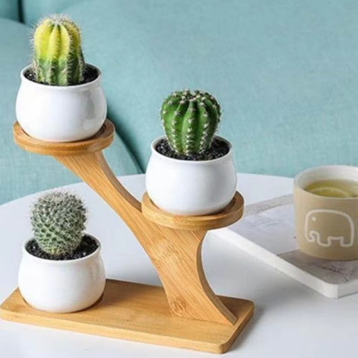Decor that stands alone