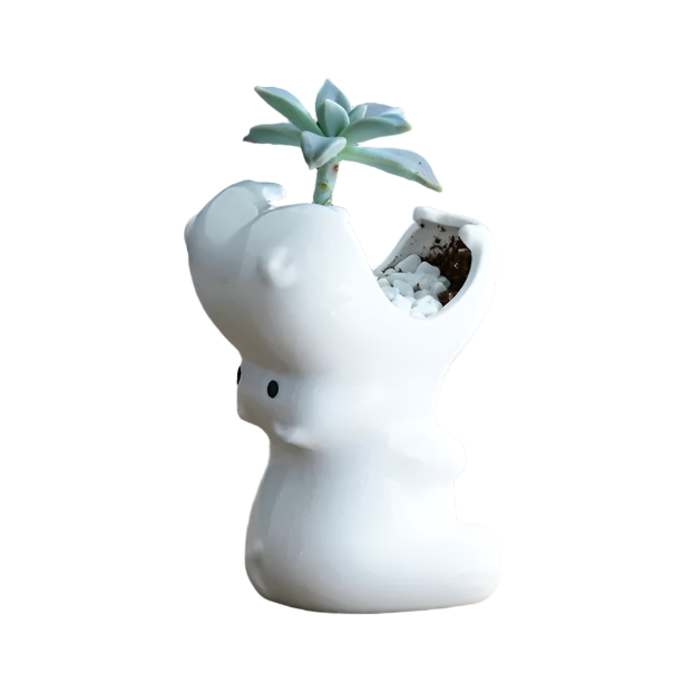 Decor that stands alone