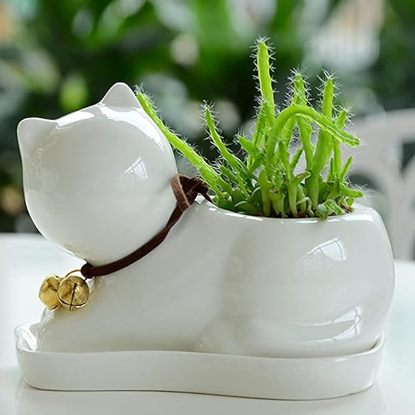 Decor that stands alone