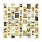 Light Academia Wall Collage