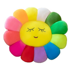Takashi Murakami Cushion