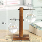 Hydro Plant Bulb Vase