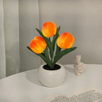 Cute Tulip Night Light