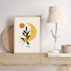 Abstract Sun Prints