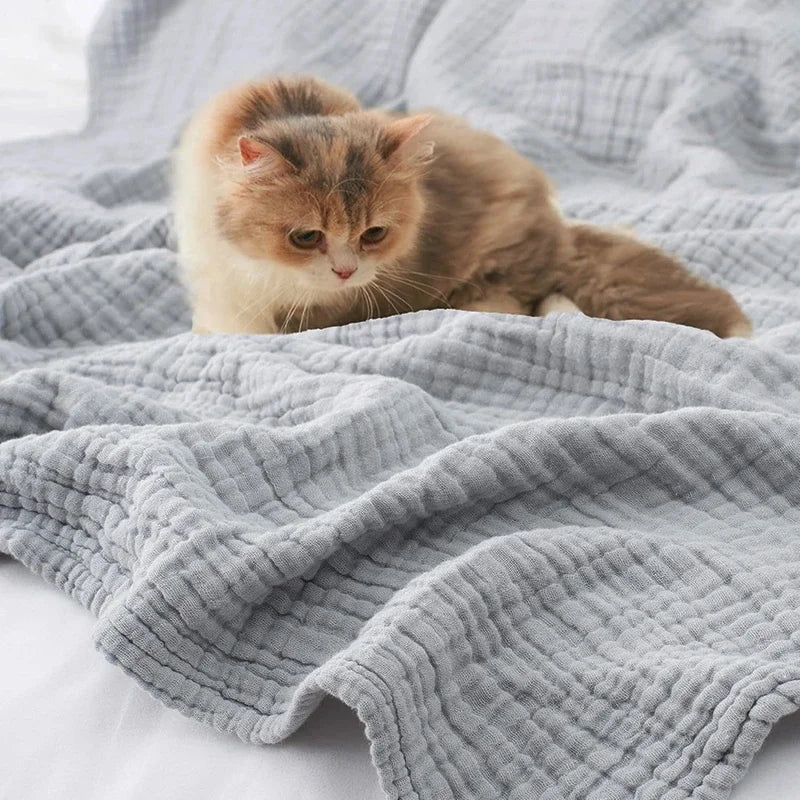 Kitten on a light gray cotton muslin blanket