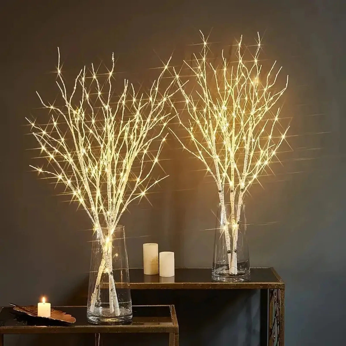 Lighted Birch Branches Battery Operated, 20 LED Warm White Twig Lights for Vase, Christmas & Home Decor