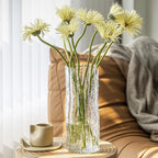 Transparent Glass Vase