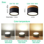 CanopyGlow — Nordic Wood-Accent LED Ceiling Spot