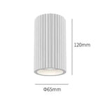 Ruth Lamp Collection