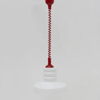 Chromatic Coil Lamp
