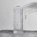 Transparent Glass Vase
