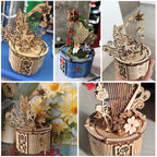 Moon & Star Music Box Wooden Puzzle