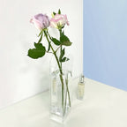 Little Arc Acrylic Vase