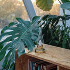 Cordless Brass Oil-Style LED Lantern