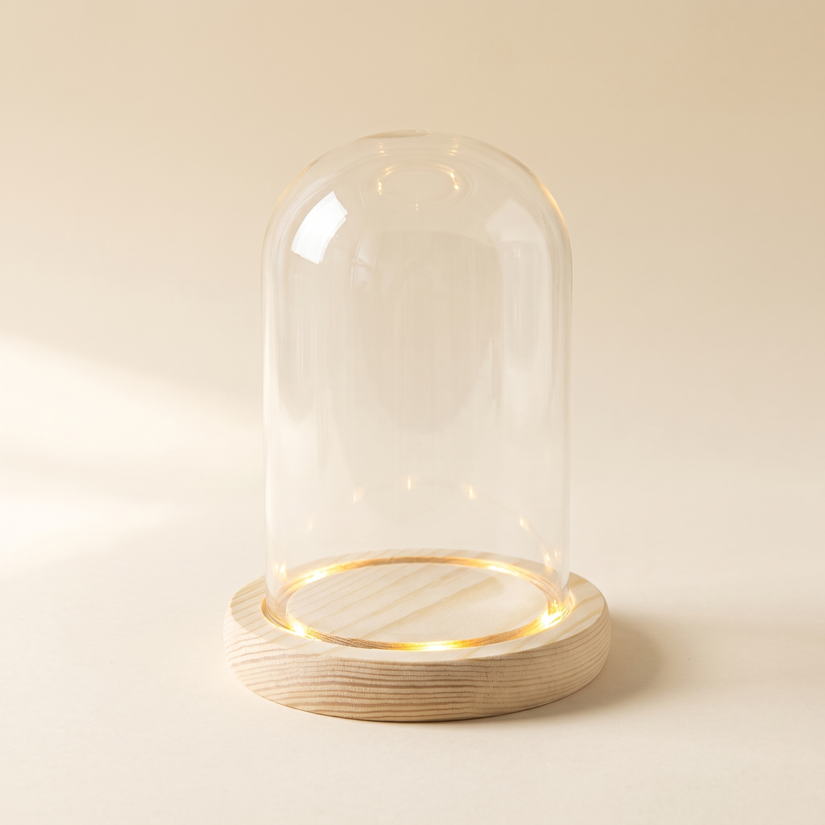 Glass Dome with Light-Up Wood Base