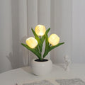 Mini Potted Tulip LED Night Light