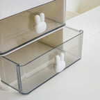 Little Kawaii Desk Organizer with Drawers
