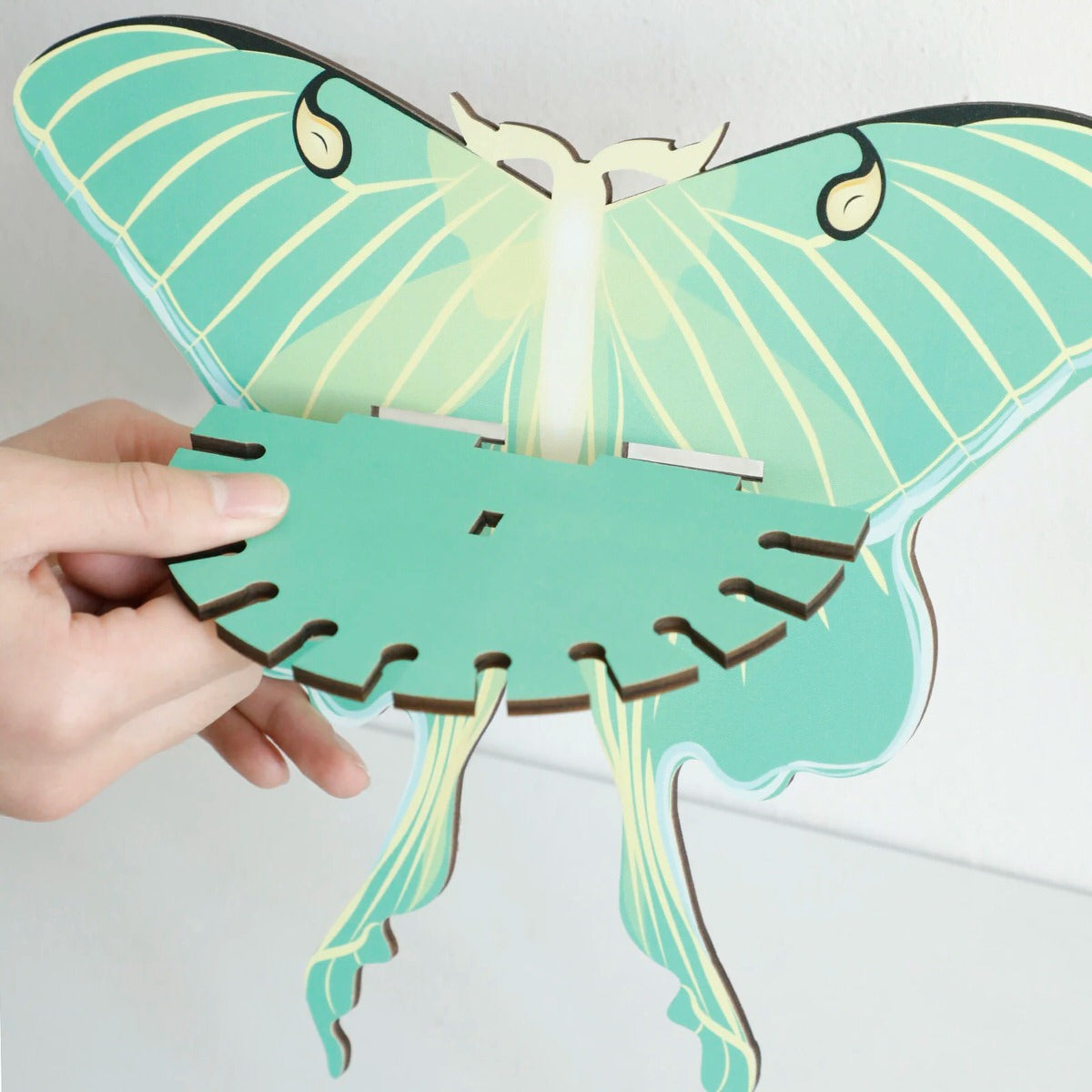 Luna Moth Wall Display Shelf