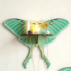 Luna Moth Wall Display Shelf