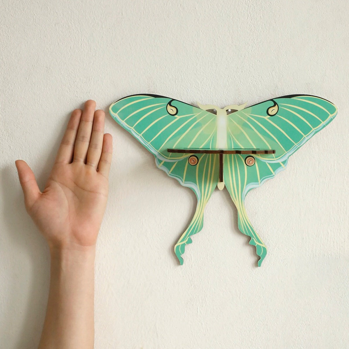 Luna Moth Wall Display Shelf